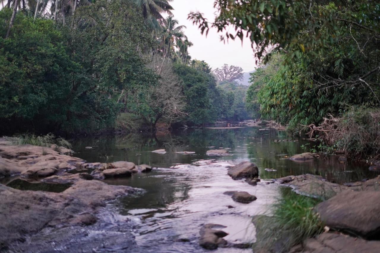 Athirapilly On The Rocks Hotell Athirappilly Exteriör bild