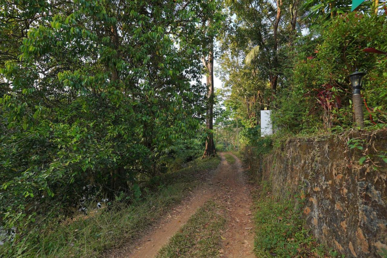 Athirapilly On The Rocks Hotell Athirappilly Exteriör bild