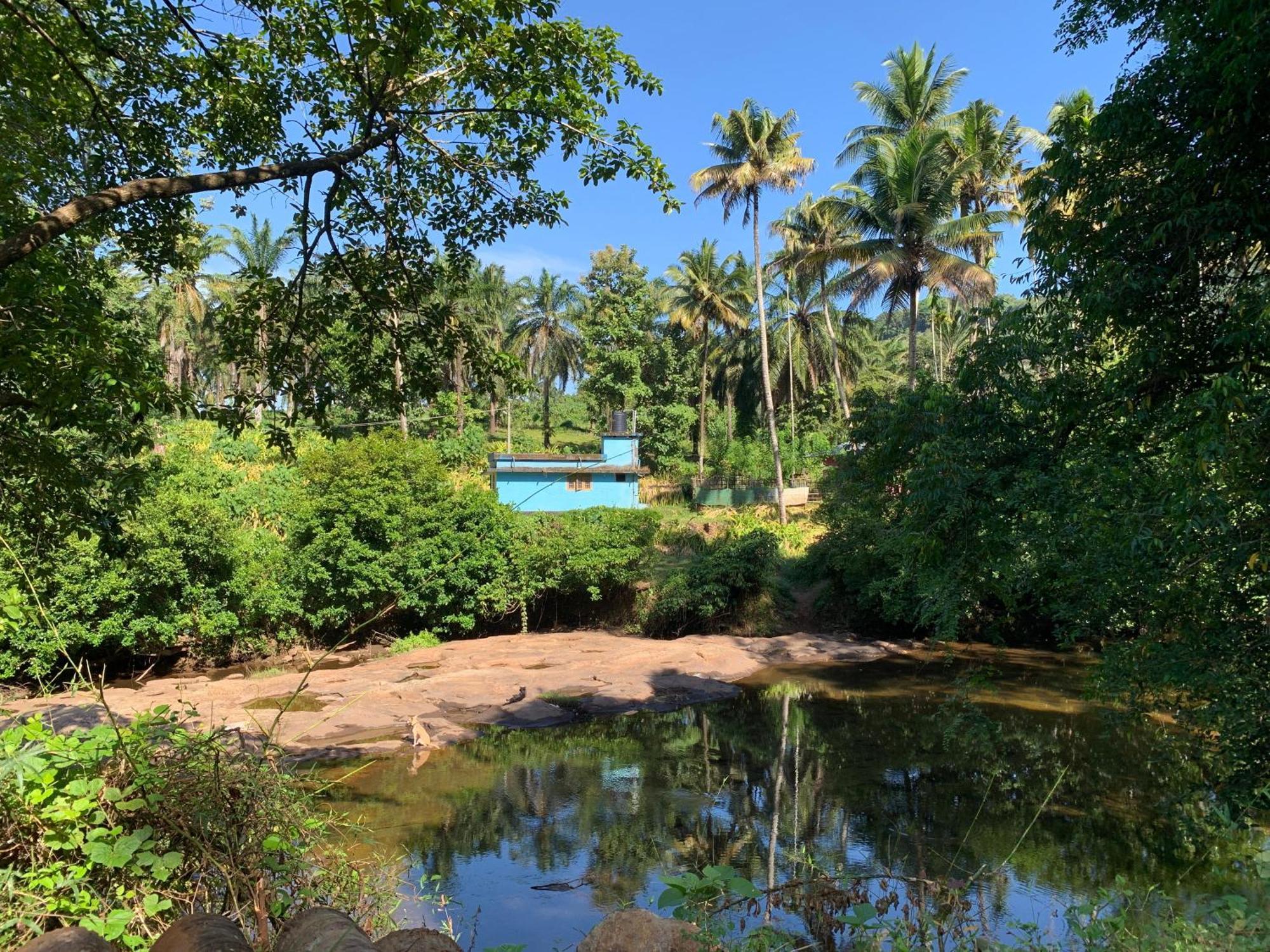 Athirapilly On The Rocks Hotell Athirappilly Exteriör bild